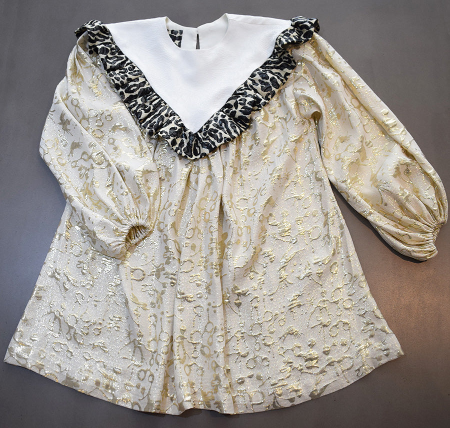 Dazzling Dress. Brocade Silk
